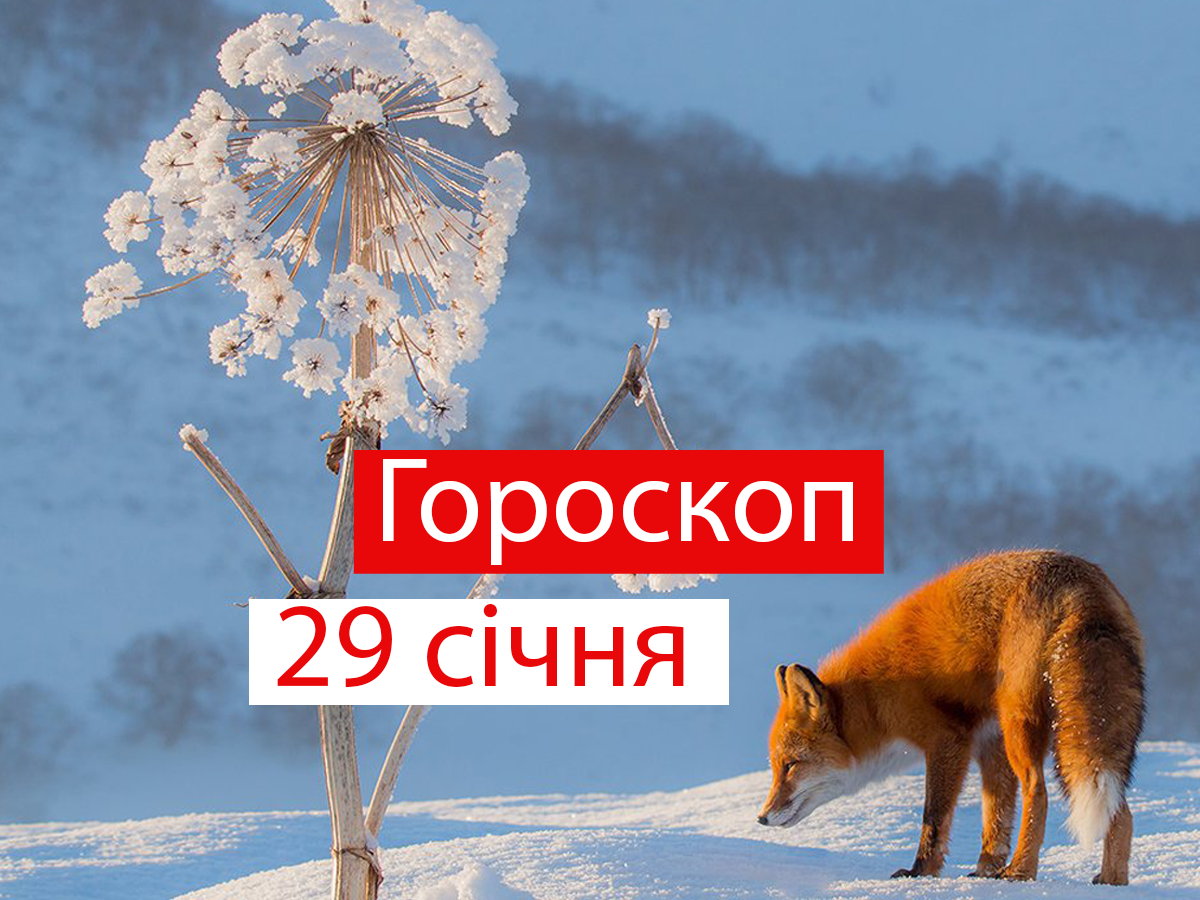 Гороскоп на 29 січня 2021: прогноз для всіх знаків Зодіаку