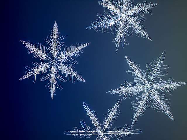 Фотограф зробив деталізовані макрофото сніжинок: кадри вражають - фото 445306