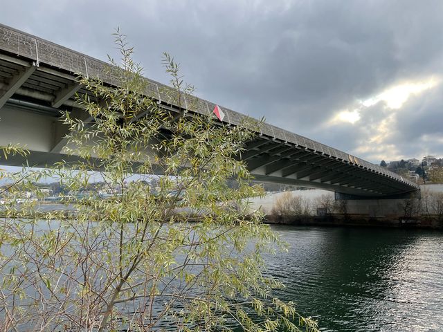 Експерти DxOMark оцінили можливості камер крихітного iPhone 12 mini - фото 445313