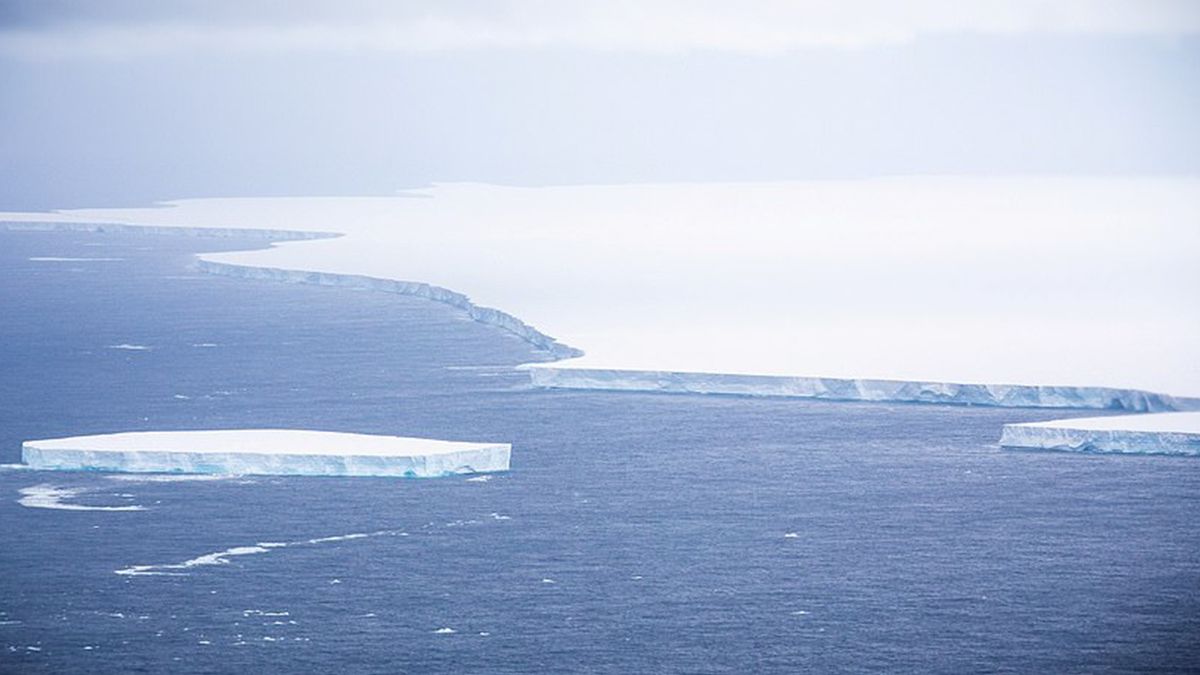 Один з найбільших айсбергів планети розколовся на частини: фотофакт