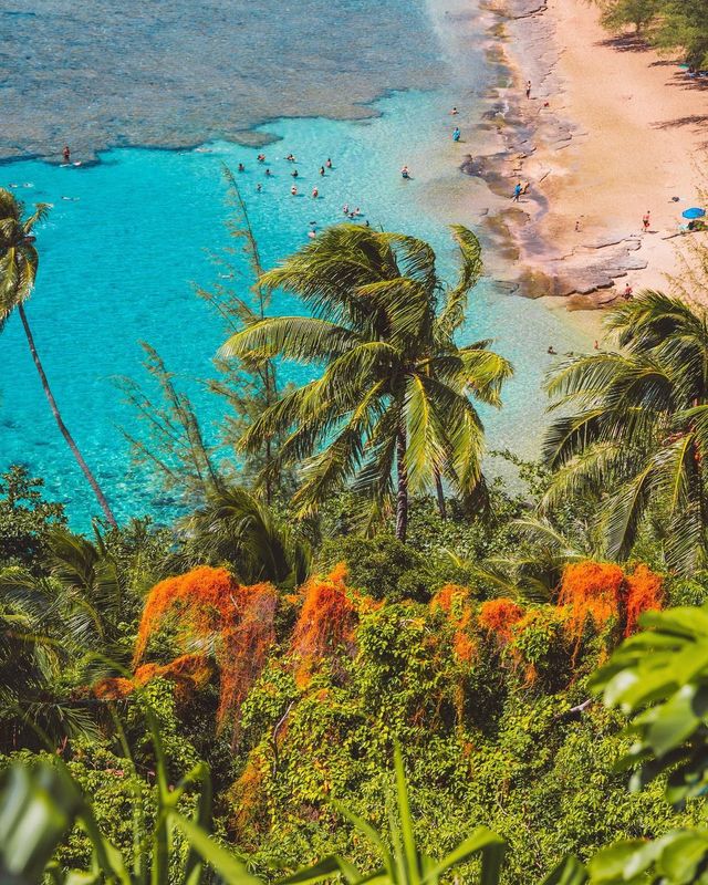 Візуальний відпочинок: який вигляд мають Гаваї з висоти (фото) - фото 445885