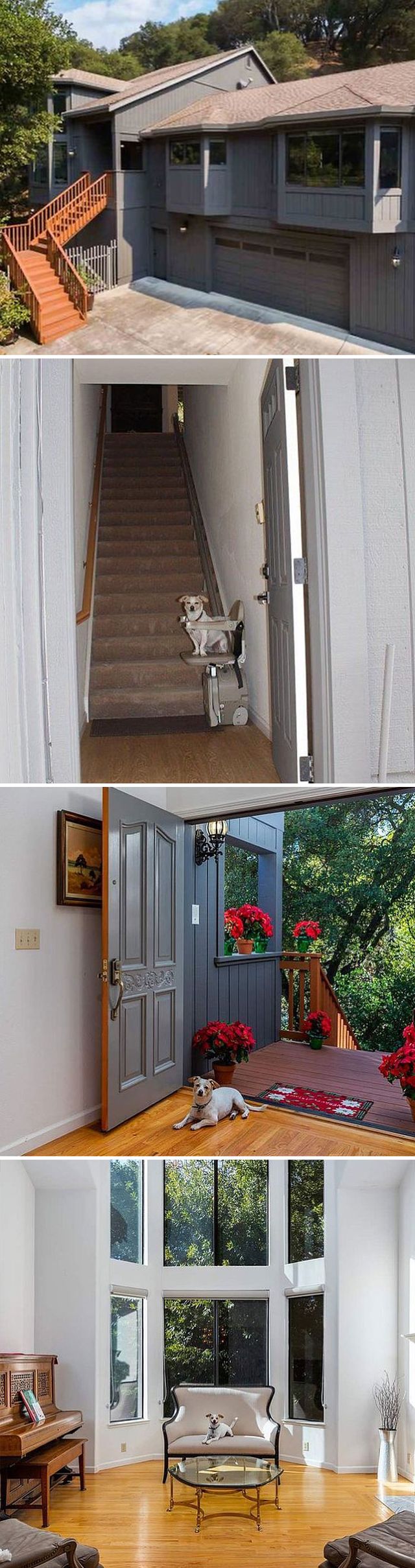 Дуже дивні будинки, які продаються у США: епічні фото - фото 446129