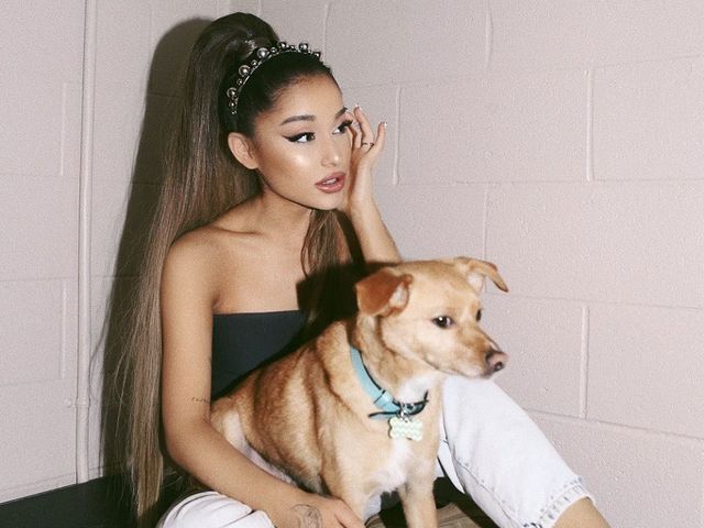 Яка зачіска була модною у твій рік народження: найпопулярніші стрижки від 1970-х до 2020 - фото 446847