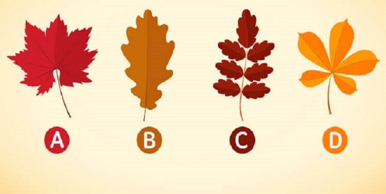 Тест: хто ви у стосунках - фото 1