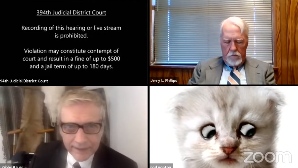 Юрист у США з'явився на офіційній онлайн-зустрічі у масці сумного кошеняти: кумедне відео - фото 1