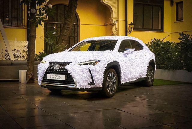 Найкращий подарунок на 14 лютого: Lexus UX перетворили на гігантський букет - фото 447486