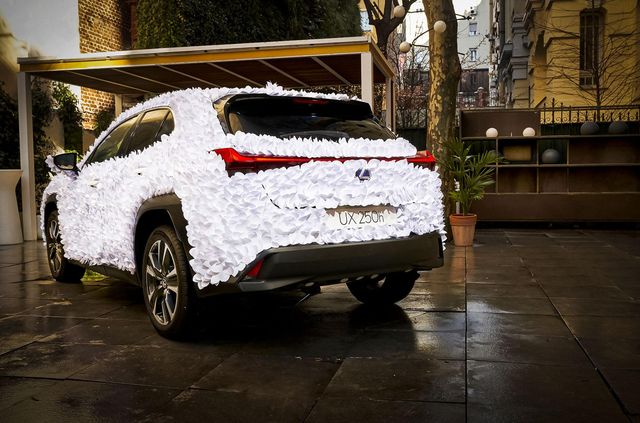 Найкращий подарунок на 14 лютого: Lexus UX перетворили на гігантський букет - фото 447487