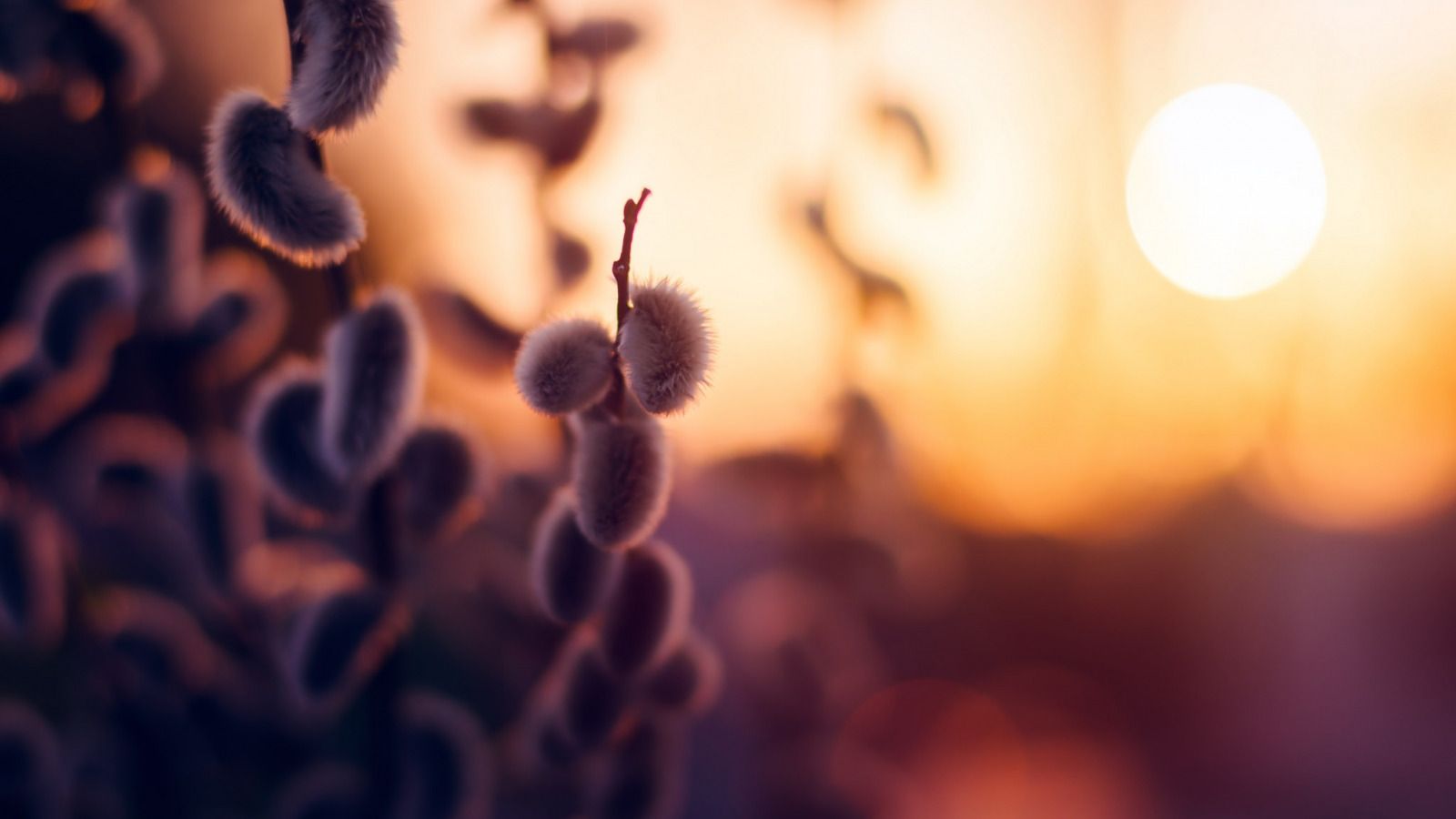 Весна - фото 1