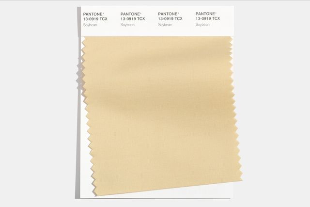 Ці кольори будуть наймоднішими в період осінь-зима 2021 року - фото 447571