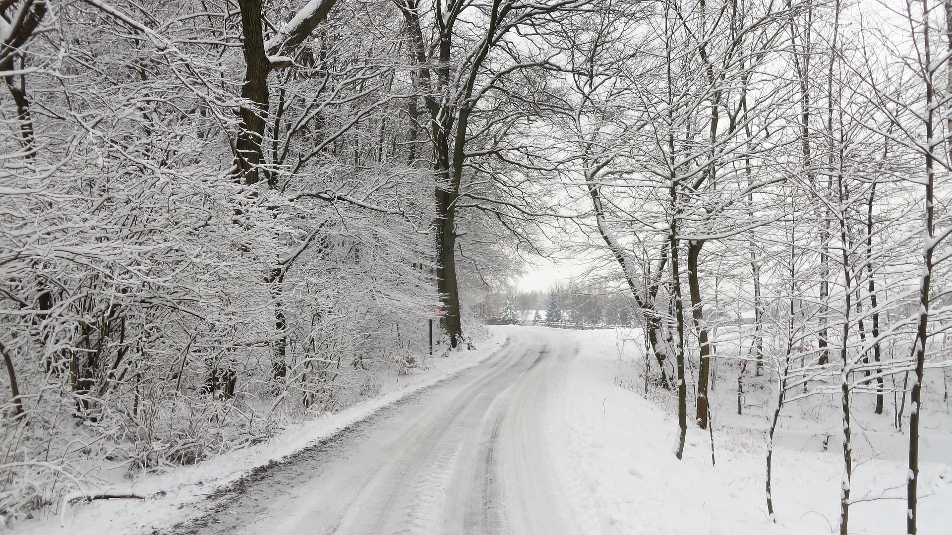 Погода в Україні 14 лютого: прогноз на День Валентина