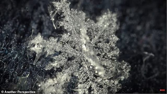 Фотограф показав, як утворюються сніжинки: неймовірне відео - фото 447796