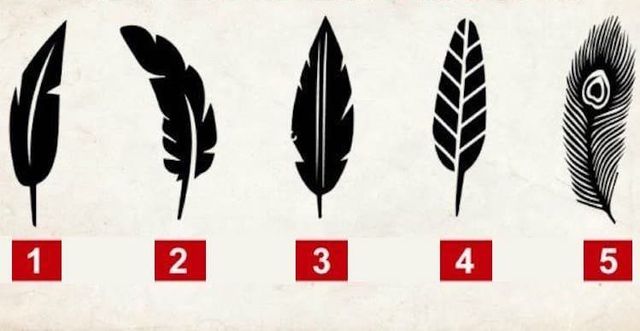 Тест на особистість: виберіть перо на картинці - фото 447815