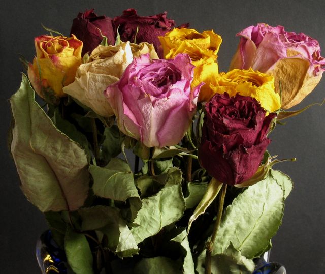 Які речі у побуті заважають вам розбагатіти - фото 447859