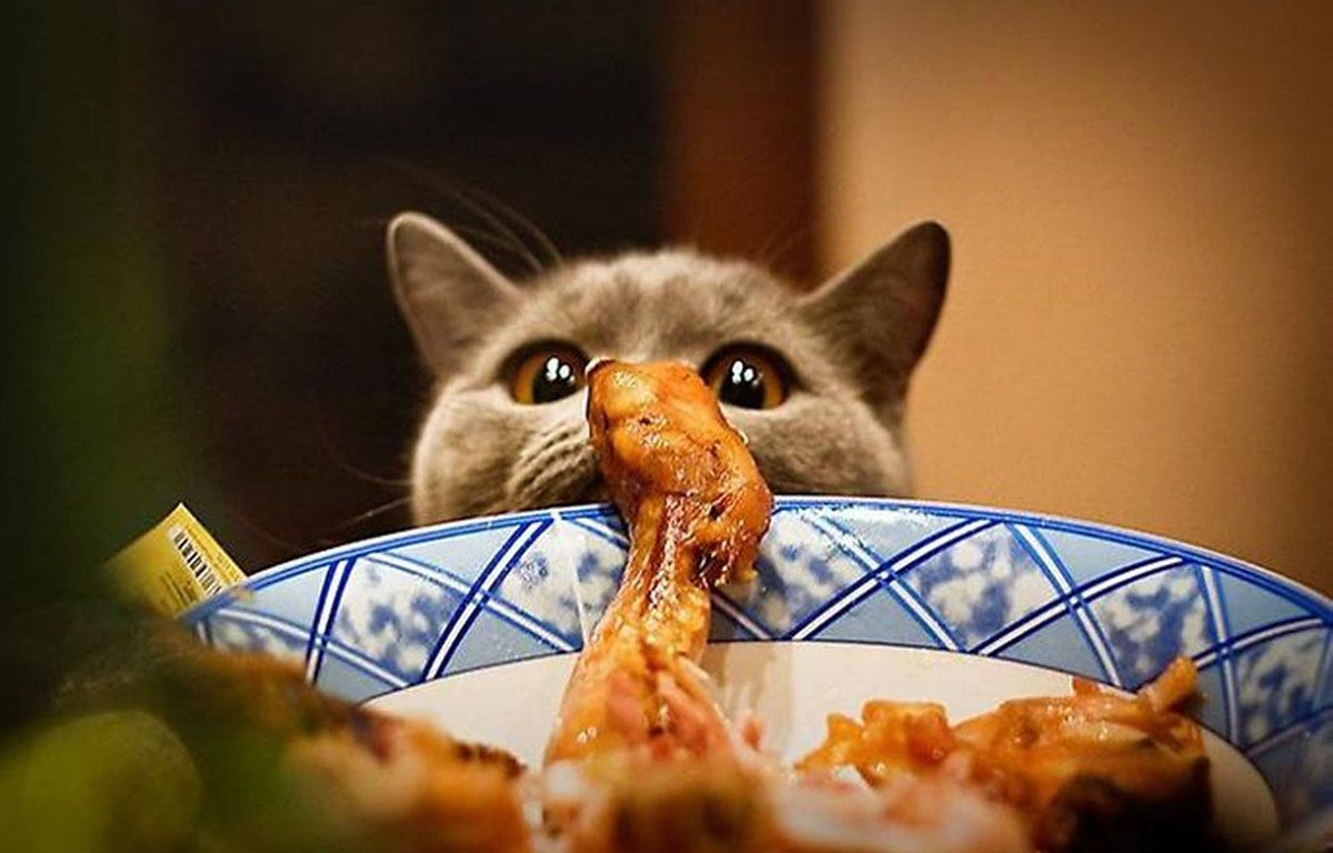 Три способи навчитися контролювати свій апетит