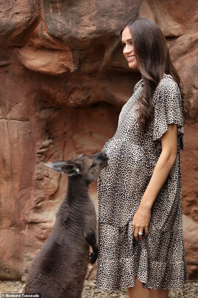 Воскова фігура Меган Маркл у музеї Сіднея отримала вагітний живіт - фото 447976