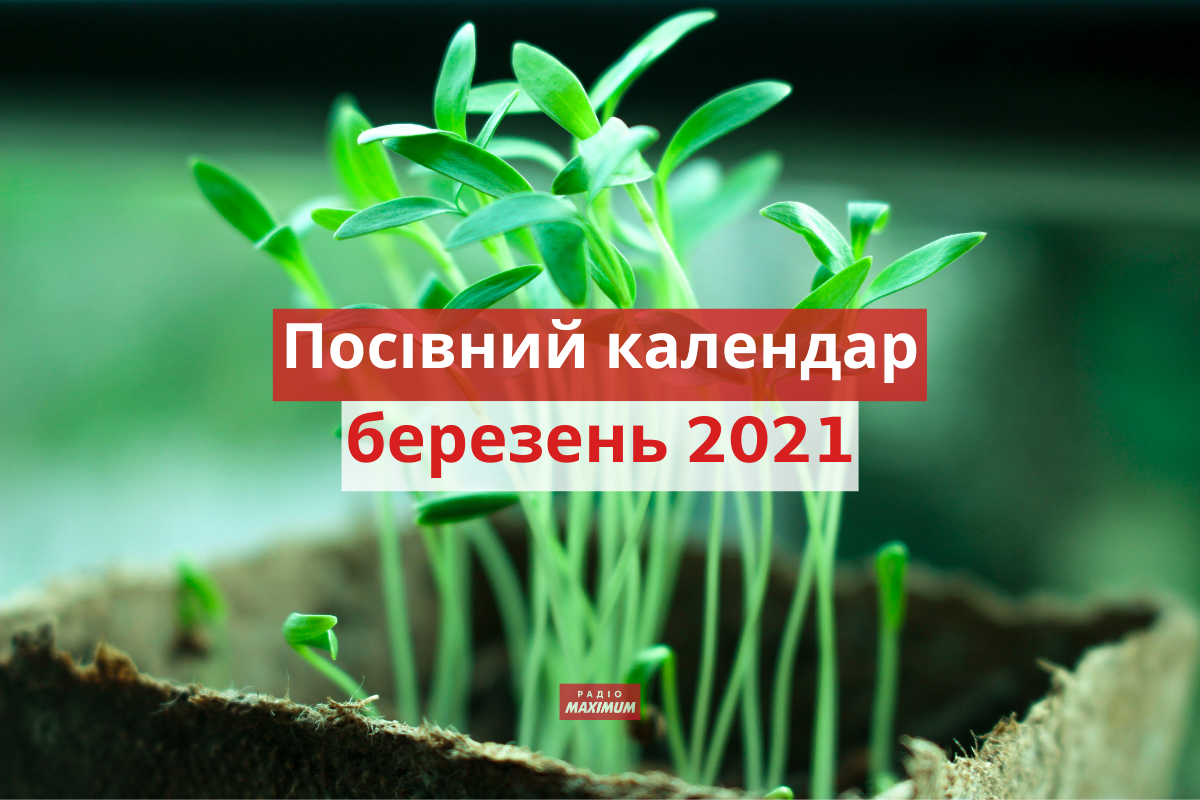 Посівний календар для городника на березень - фото 1
