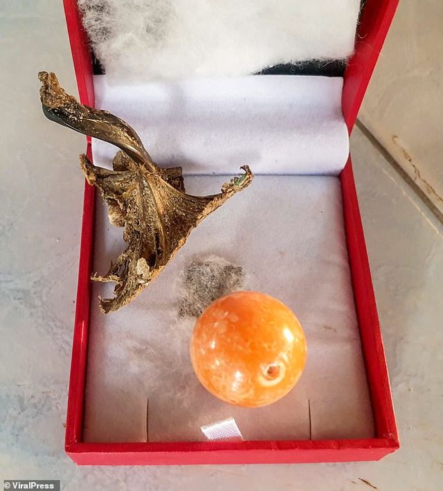 Житель Таїланду знайшов в їжі рідкісну перлину - фото 448183