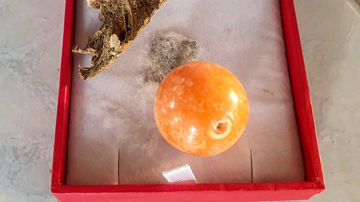 Житель Таїланду знайшов в їжі рідкісну перлину - фото 1