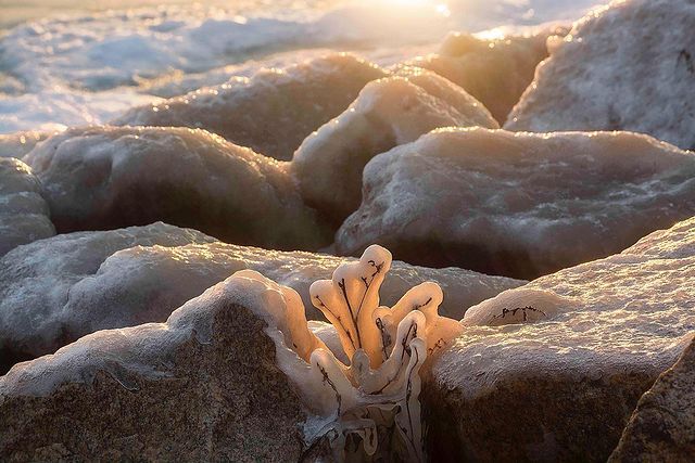 Справжня Арктика: Азовське море скувала крига (казкові фото) - фото 448272