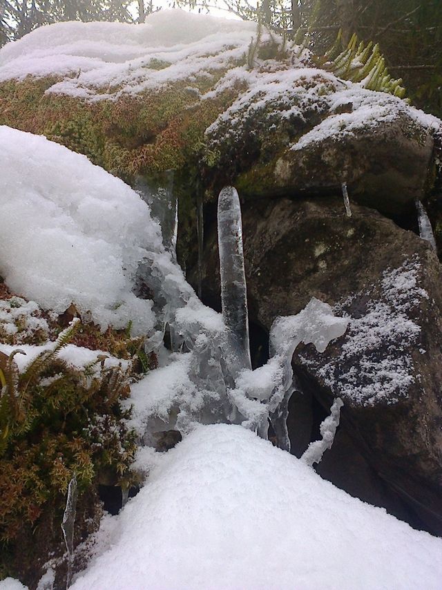 На Львівщині замерзли водоспади: неймовірні фото - фото 448554