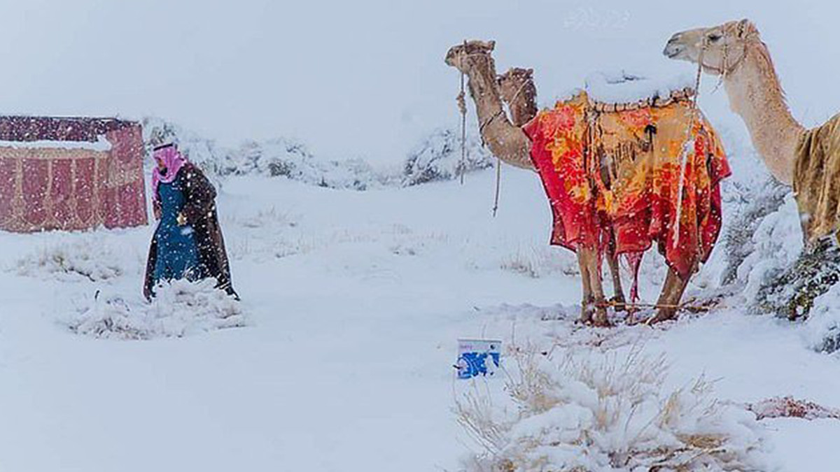 У Саудівській Аравії спочатку випав сніг, а потім його засипало піском: унікальне видовище - фото 1
