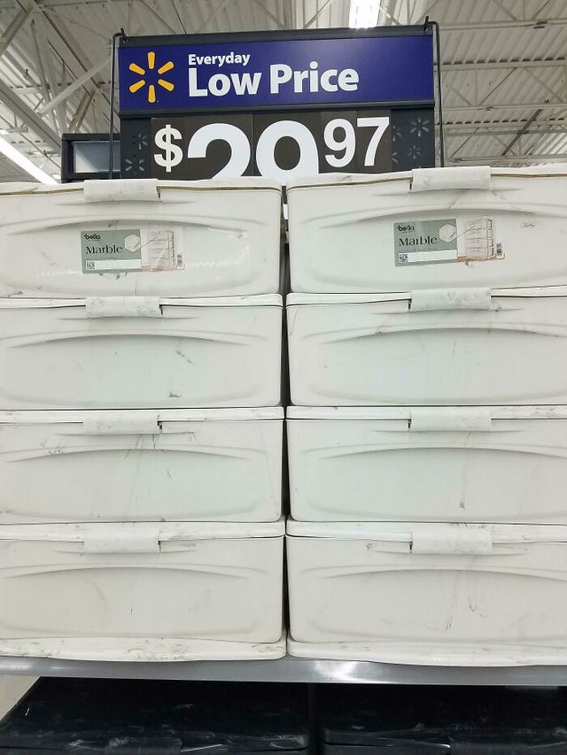 daggercats - фото 448682