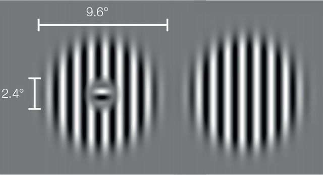 Лікарі розповіли, як покращити зір за лічені хвилини - фото 449030