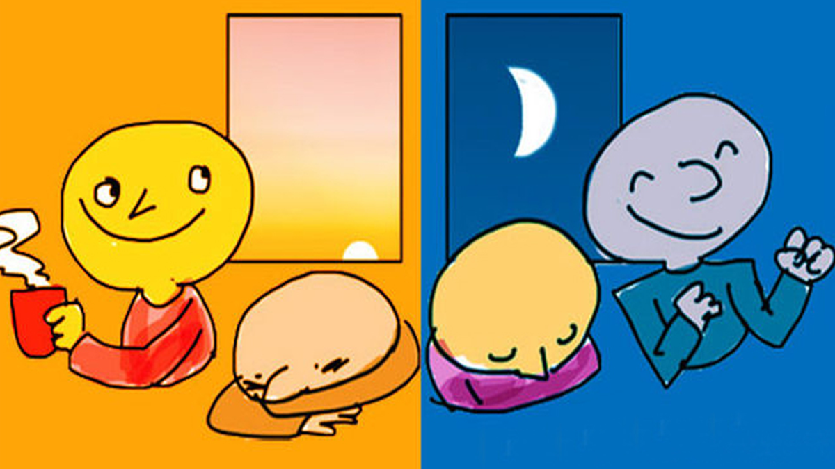 Сови vs жайворонки: стало відомо, хто ефективніший на роботі - фото 1