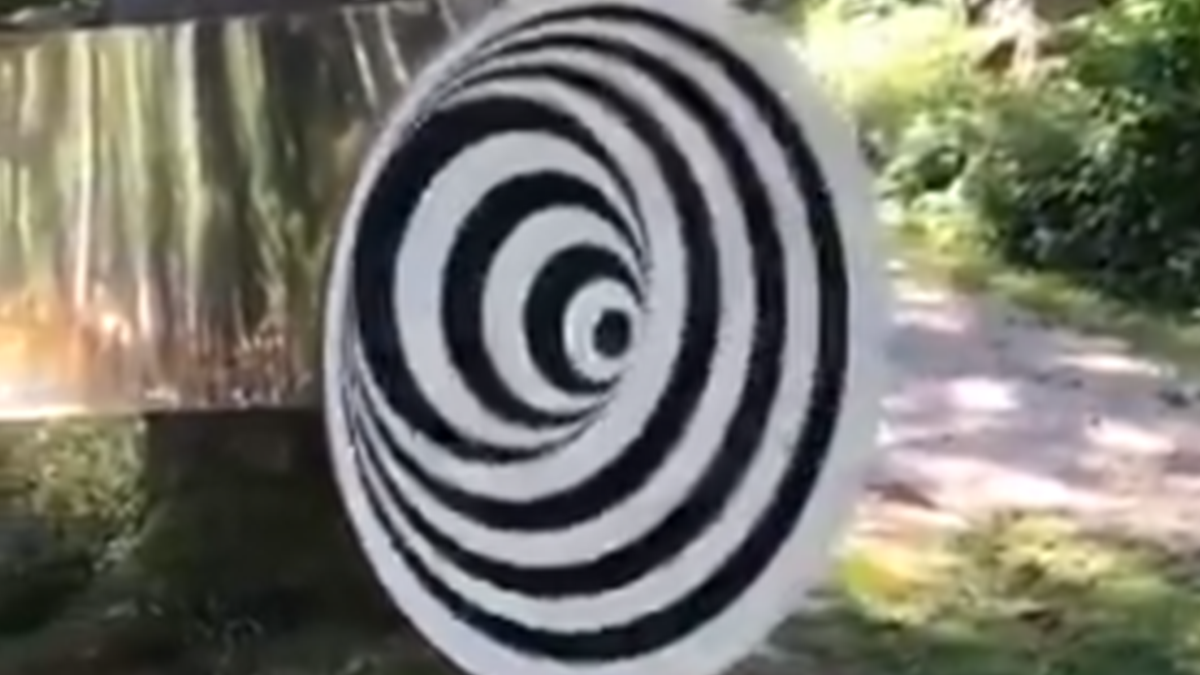 Нова оптична ілюзія підірвала мережу: її оцінив навіть Ілон Маск (відео)