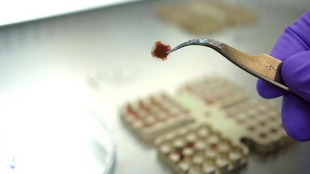 Ці організми з Землі зможуть вижити на Марсі - фото 449287