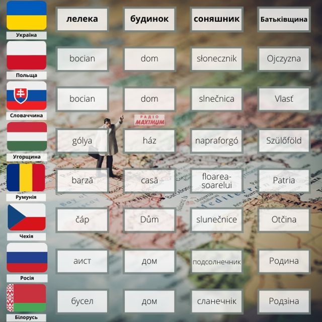 Отчина, барза, хез, сланечнік: як звучать українські слова мовами країн-сусідів - фото 449304