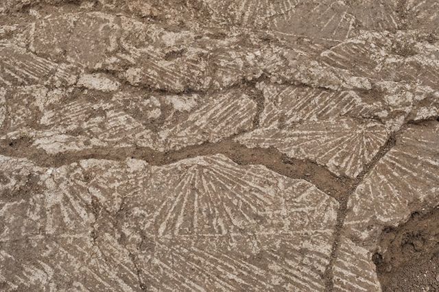 У Франції виявили руїни римської вілли епохи імператорів: фотофакт - фото 449338