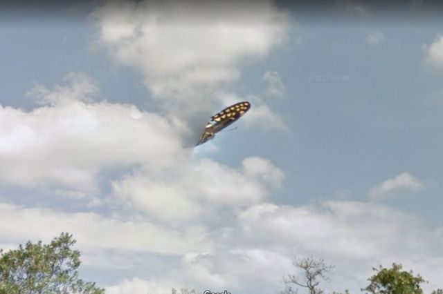 На картах Google знайшли величезний інопланетний корабель: фото - фото 449679
