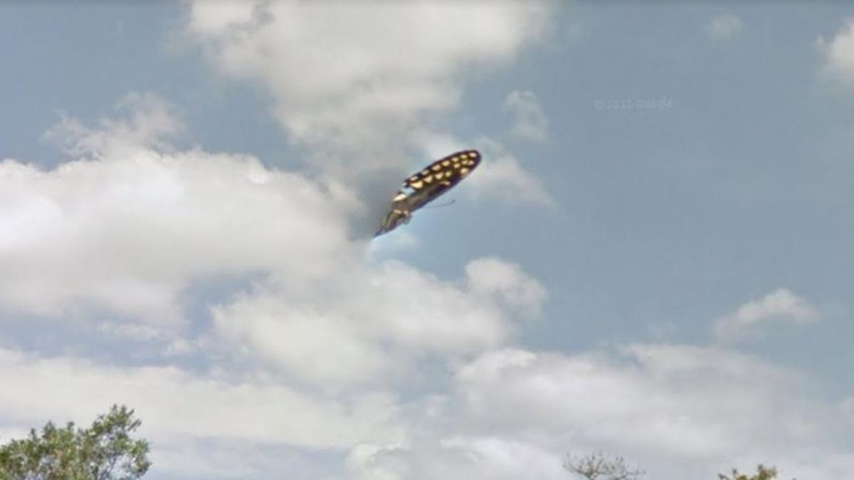 На картах Google знайшли величезний інопланетний корабель: фото - фото 1