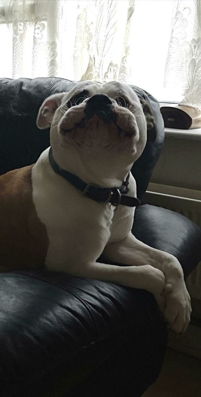 /Chiaronigc - фото 449755