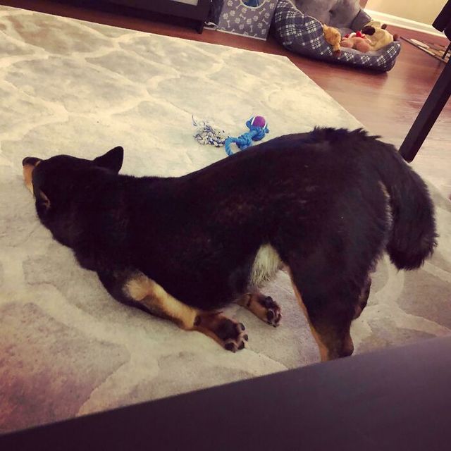 precision_2jz - фото 449762