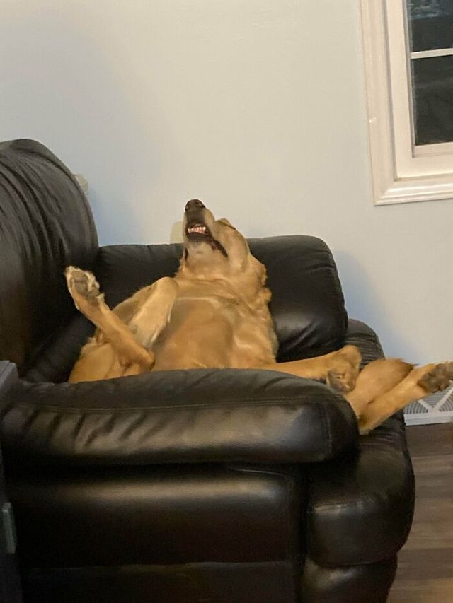 huff_le_puff0107 - фото 449763