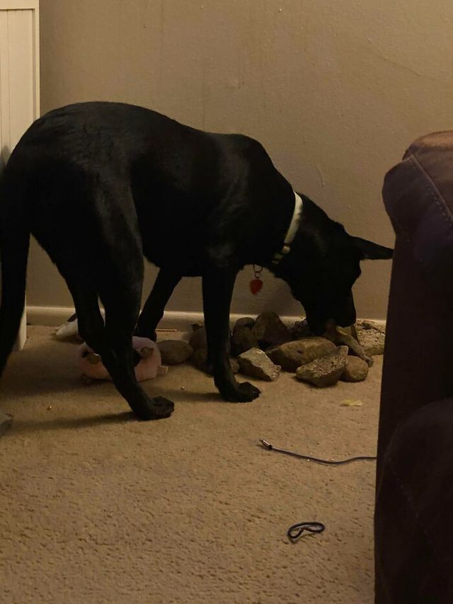 aca6825- фото 449764