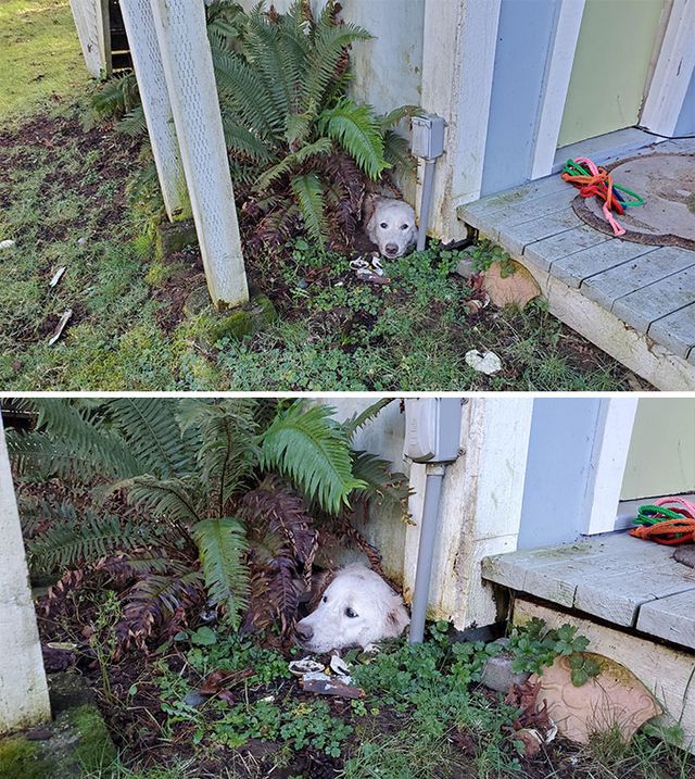 rainbowtwist - фото 449768