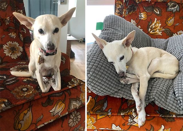 Mmmelanie - фото 449769