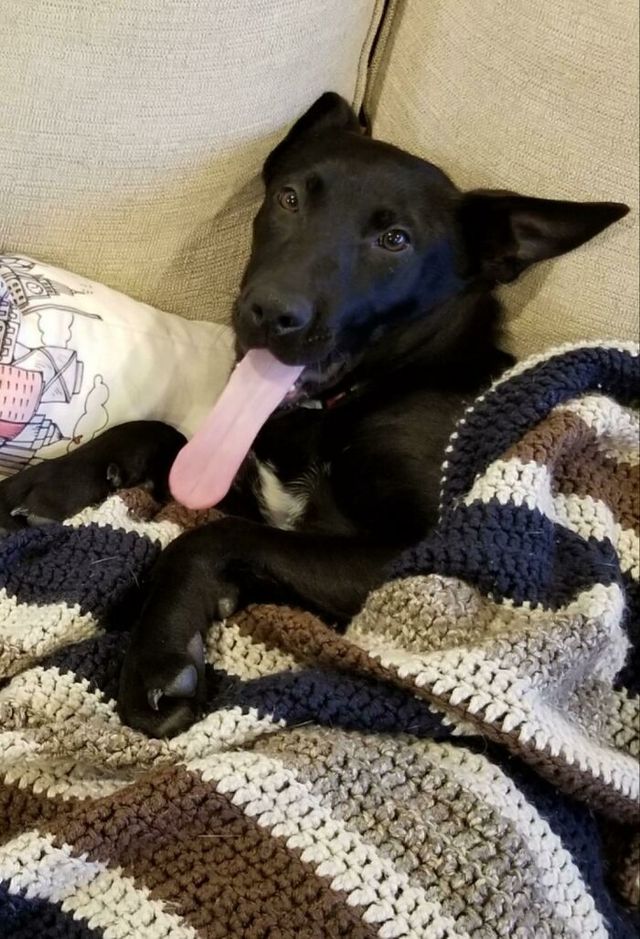 dindia91 - фото 449782