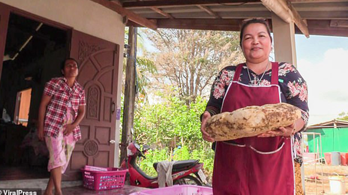 Жінка знайшла амбру - фото 1