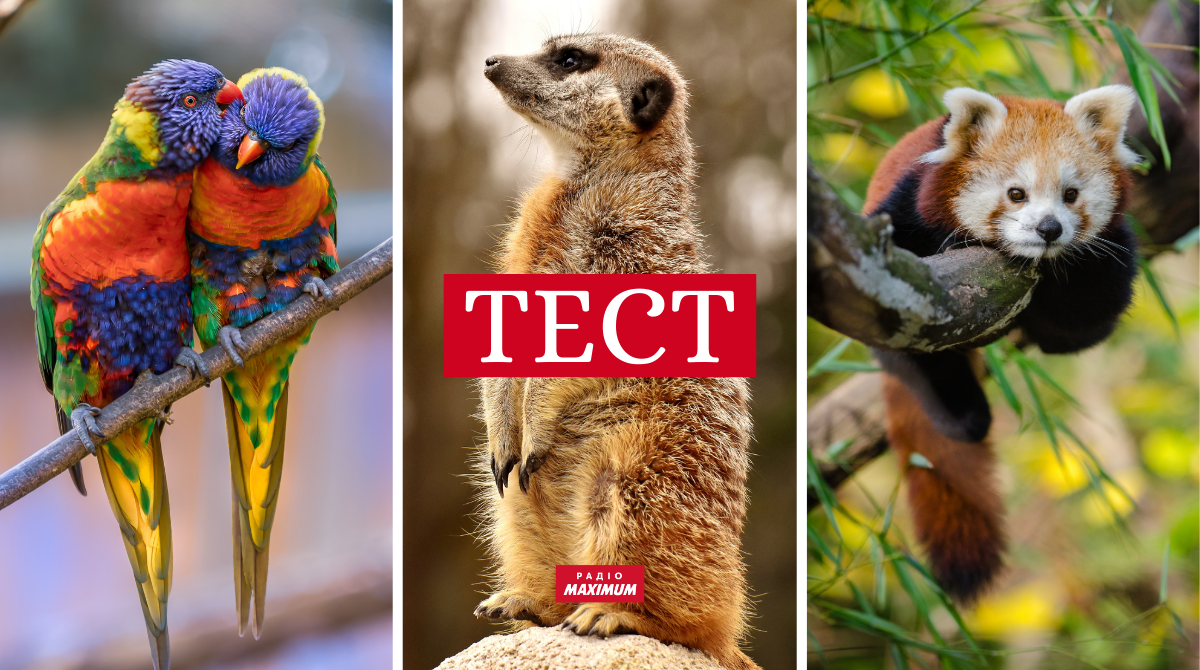 дикі тварини - фото 1