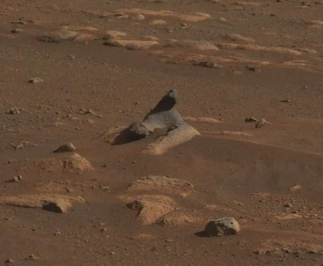 У NASA показали свіжі фото Марса, які відправив Perseverance - фото 450047
