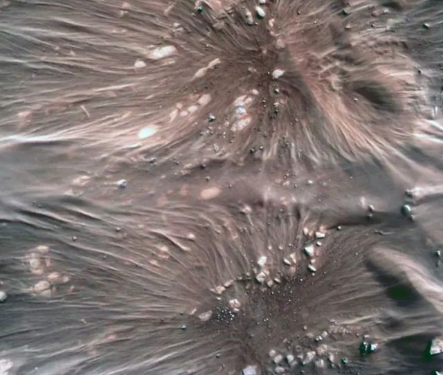 У NASA показали свіжі фото Марса, які відправив Perseverance - фото 450050