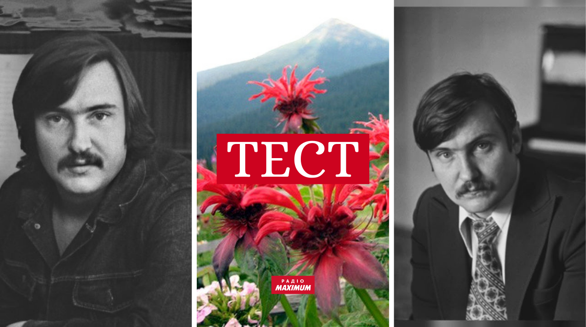 ТЕСТ: Доповни рядок з пісні, яку написав Володимир Івасюк