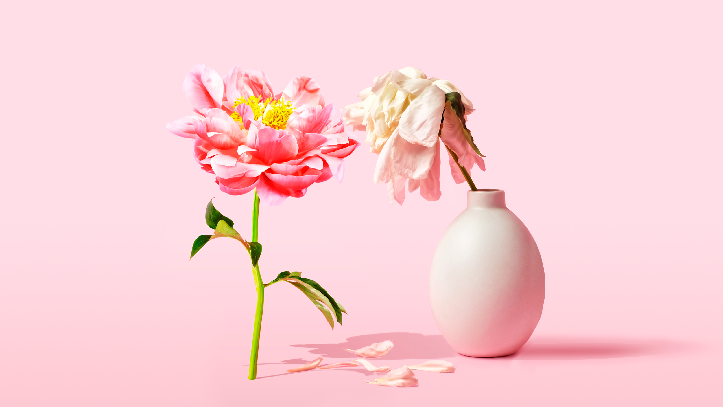 Вчені знайшли точний спосіб визначення біологічного віку