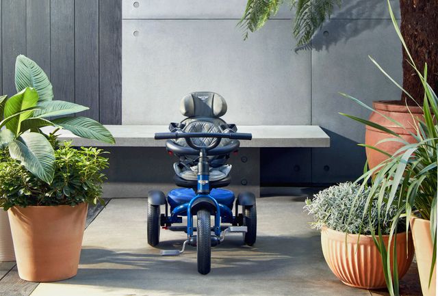 Bentley представила розкішний триколісний велосипед - фото 451172