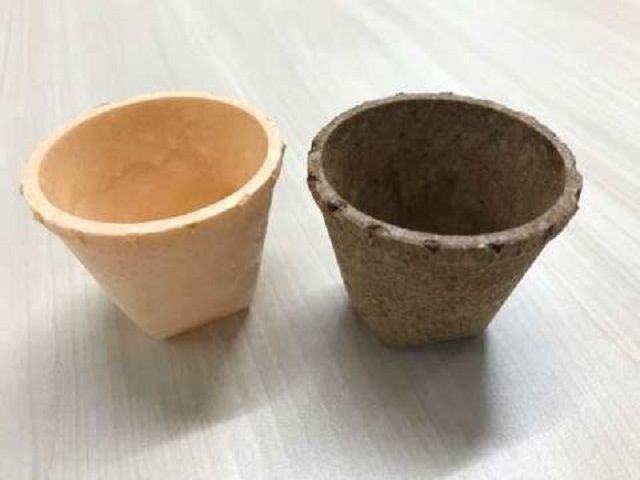 У Японії створили їстівні склянки для пива: з якими смаками доступні чашки - фото 451671