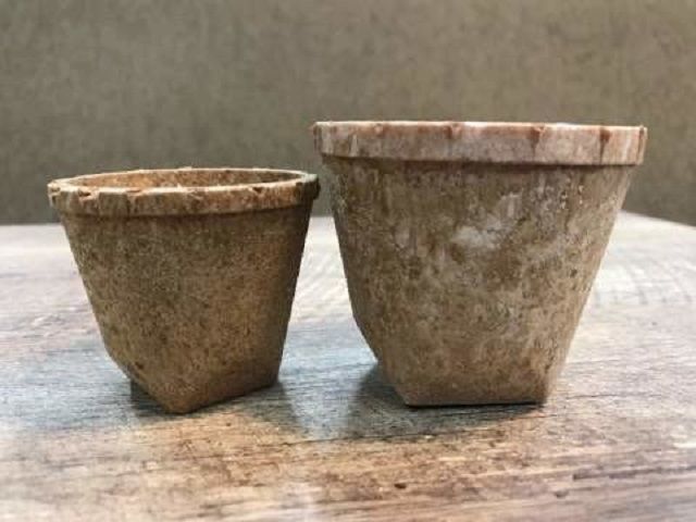 У Японії створили їстівні склянки для пива: з якими смаками доступні чашки - фото 451672